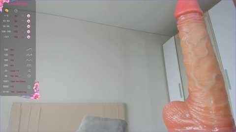 Media: sweety_vikky Chaturbate 2025-02-09 02:39:00