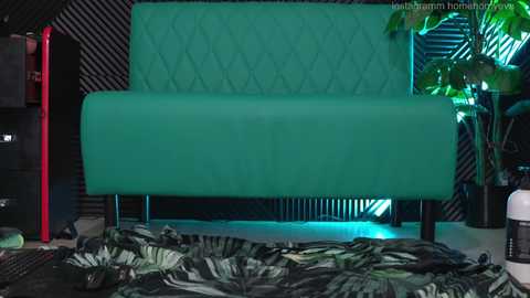 Media: homehornyeva Chaturbate 2025-02-10 08:44:00