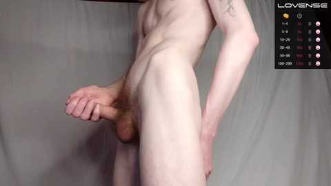 how_to_cook_polenta @ chaturbate on 20250213