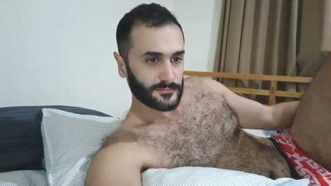arabhairy90 @ chaturbate on 20250217