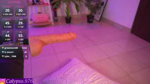 calypso_and_ge1 @ chaturbate on 20250217