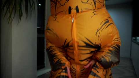 Media: taitehambelton Chaturbate 2025-02-17 11:26:00