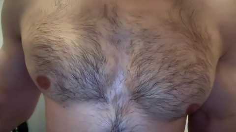 musclehair3 @ chaturbate on 20250218