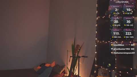 bananya_kitty @ chaturbate on 20250219