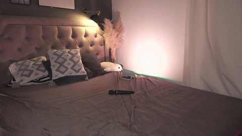 imanora @ chaturbate on 20250222