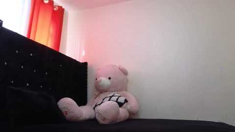 vel_zola @ chaturbate on 20250222