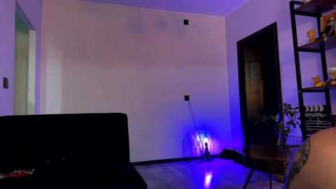 chaptertoo @ chaturbate on 20250225