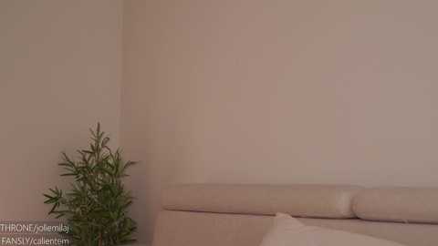Media: ms_seductive Chaturbate 2025-02-25 15:31:00
