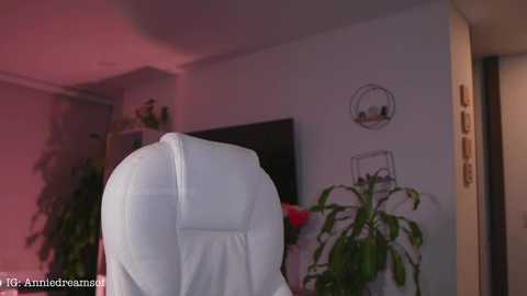 annie_dreams @ chaturbate on 20250226