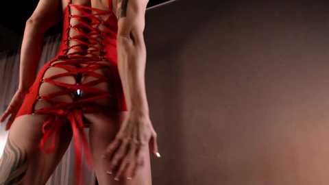 dorothy_meyer @ chaturbate on 20250226