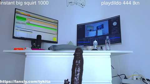 tykita @ chaturbate on 20250227