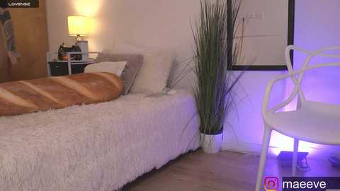 maeeve_ @ chaturbate on 20250303