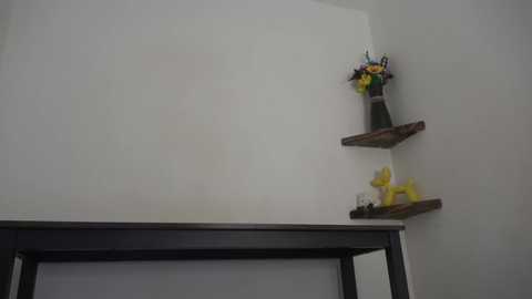 english_rose__ @ chaturbate on 20250304