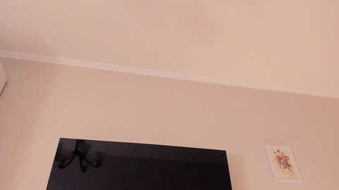 magic_couple13 @ chaturbate on 20250304