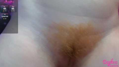 daphnemadison @ chaturbate on 20250305