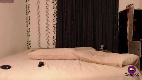 curryandrice420 @ chaturbate on 20250307