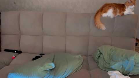 dementra @ chaturbate on 20250308