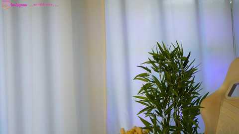 perfectt33n @ chaturbate on 20250308