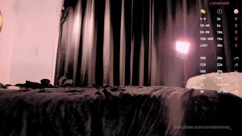 camilaramirez_ @ chaturbate on 20250309