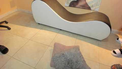 euphoric_room @ chaturbate on 20250310