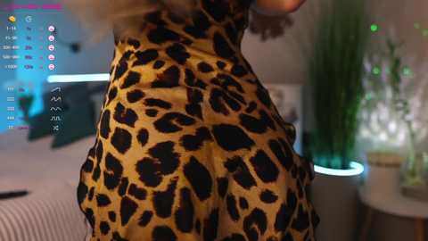 lovely__alisa @ chaturbate on 20250310