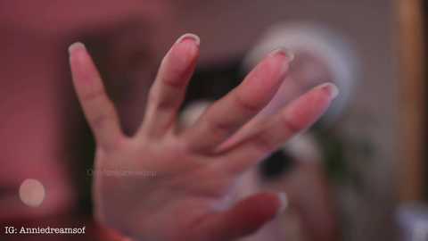 annie_dreams @ chaturbate on 20250311