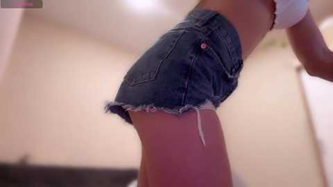 meowalice1 @ chaturbate on 20250311