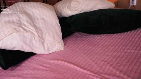 tessarosse_ @ chaturbate on 20250525