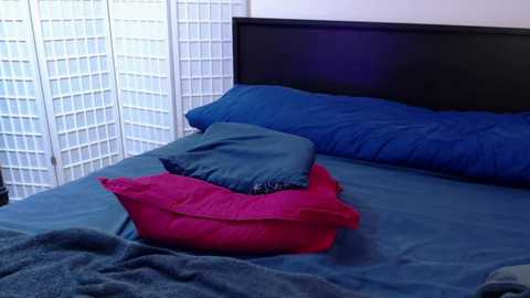 your_wild_fantasy @ chaturbate on 20250525