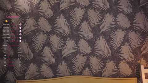 _vi_vi_ @ chaturbate on 20250526