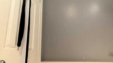 kittykat36f @ chaturbate on 20250526