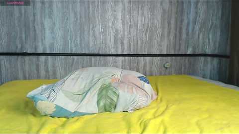 mira_one_ @ chaturbate on 20250526