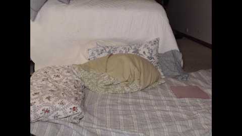 peggy_parks @ chaturbate on 20250526