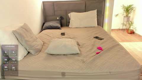 alanna_house1 @ chaturbate on 20250527