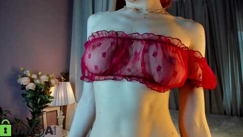 Media: dearly_emily Chaturbate 2025-05-27 04:44:00