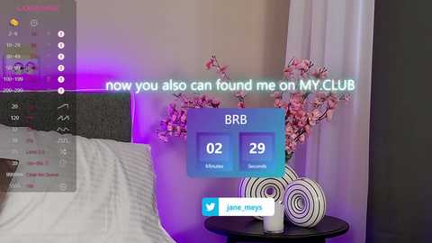 jane_meys @ chaturbate on 20250527