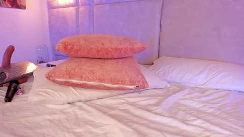 milyy_vermont @ chaturbate on 20250527