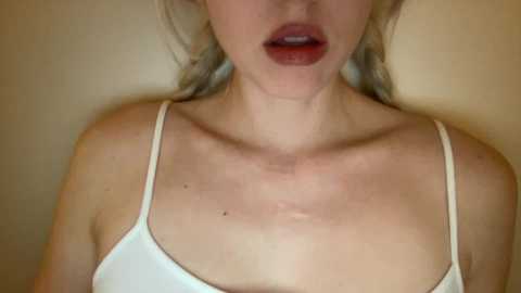 noscandal @ chaturbate on 20250527