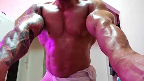 adonis_msc @ chaturbate on 20250528