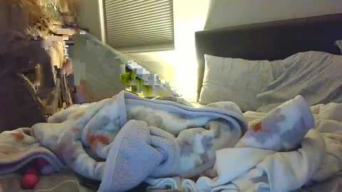 bhansen111 @ chaturbate on 20250528