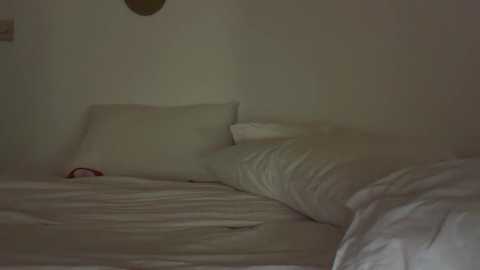 ivysagex @ chaturbate on 20250528