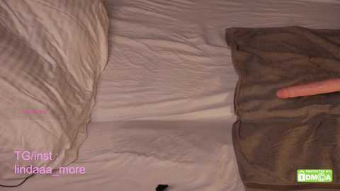 linda_more @ chaturbate on 20250528