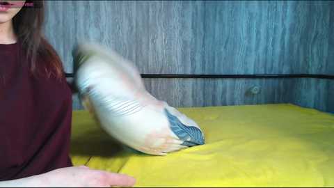 mira_one_ @ chaturbate on 20250528