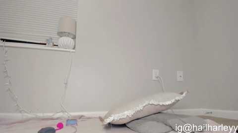 venicebtchh @ chaturbate on 20250528