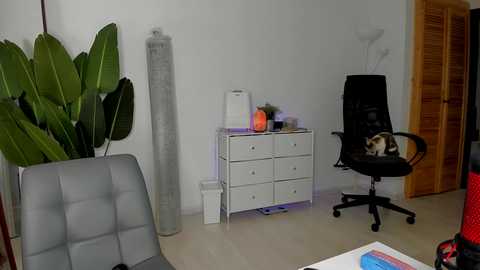 xxx_leila @ chaturbate on 20250528