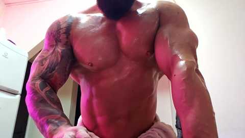 adonis_msc @ chaturbate on 20250529