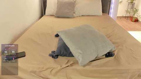 alanna_house1 @ chaturbate on 20250529