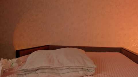 milla_remmy @ chaturbate on 20250529