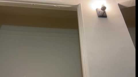 rhiannonpooks @ chaturbate on 20250530