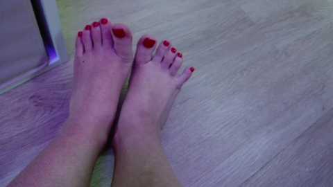 candymini @ chaturbate on 20250531